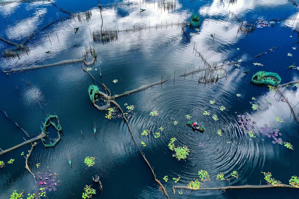 Photograph by Việt Hưng Bùi