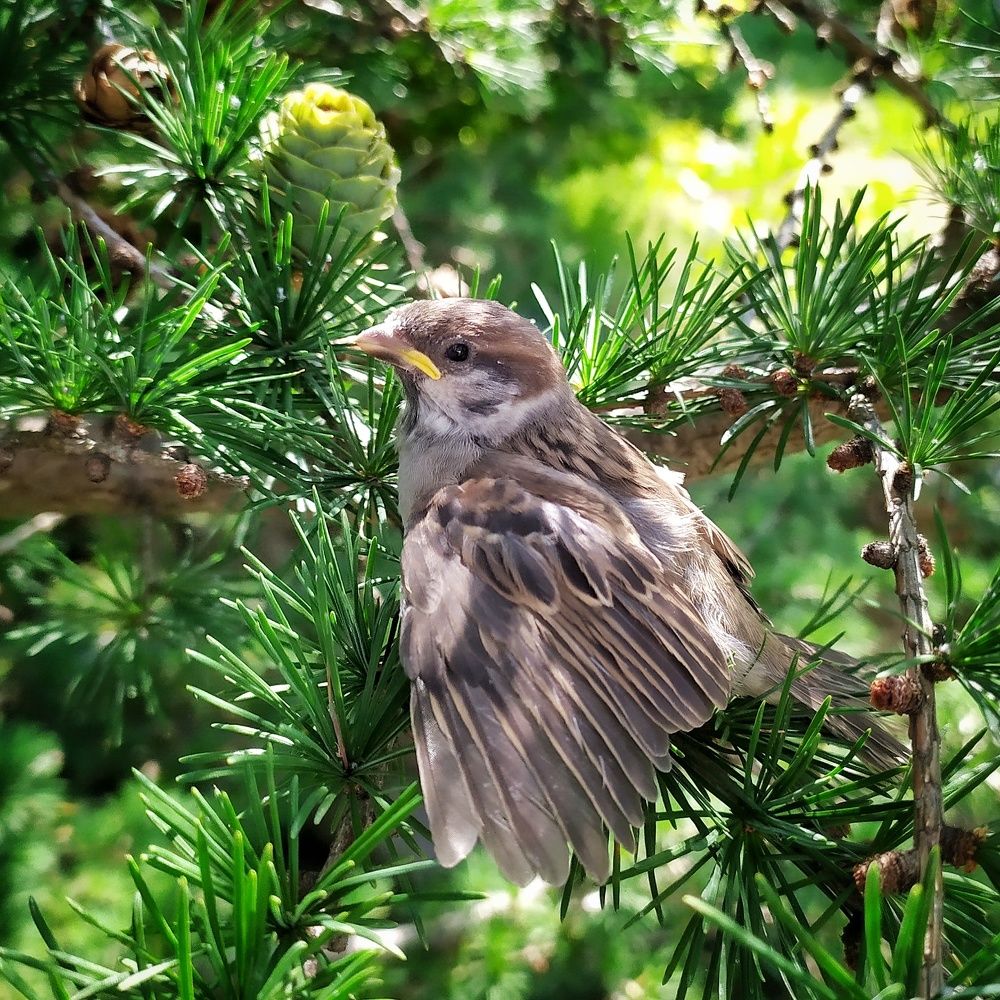 Photograph by Елена Павлова