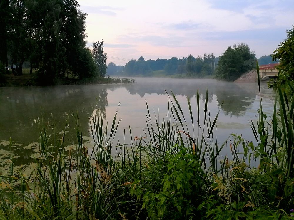 Фотография автора Елена Савельева