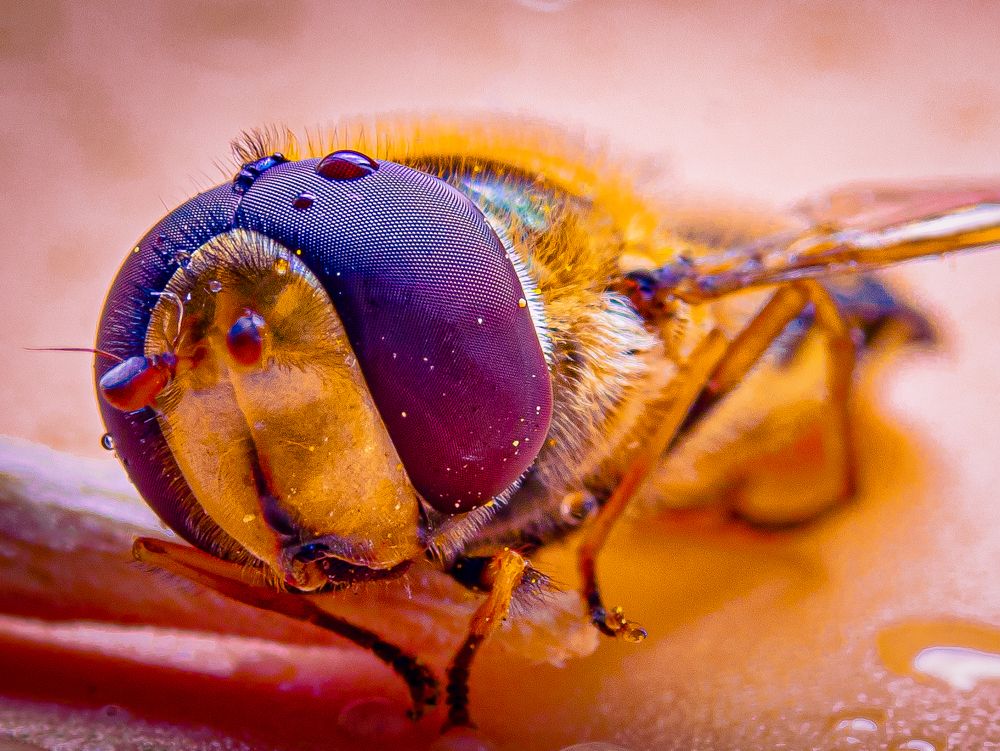 Photograph by Антон Парфентьев