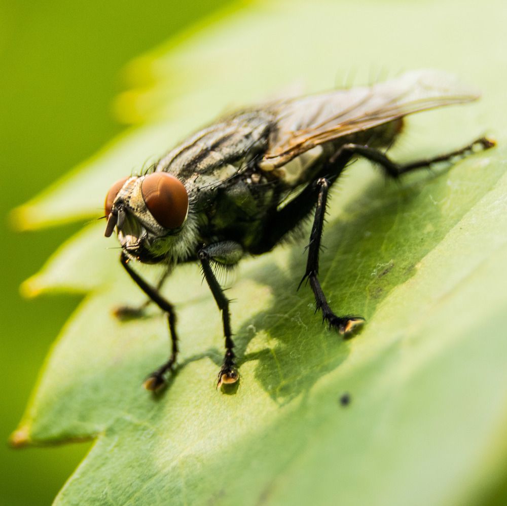 Photograph by Олег Башкуров