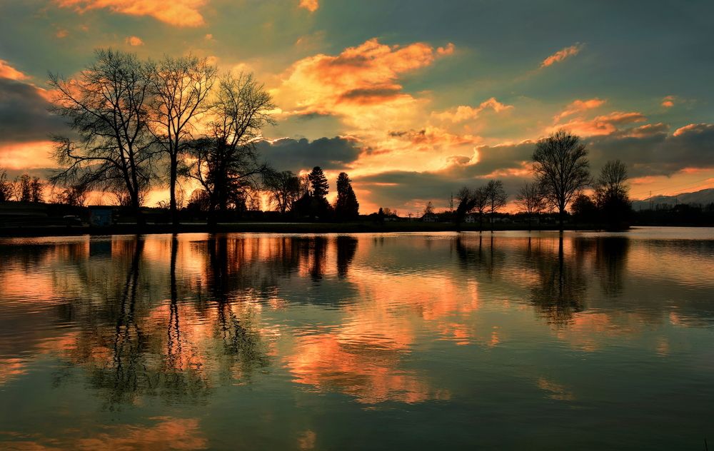 Photograph by Elena Wymann