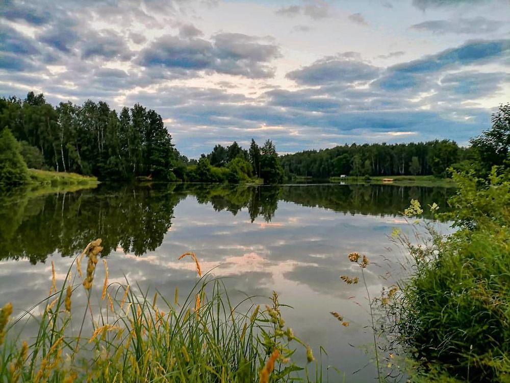Фотография автора Елена Савельева