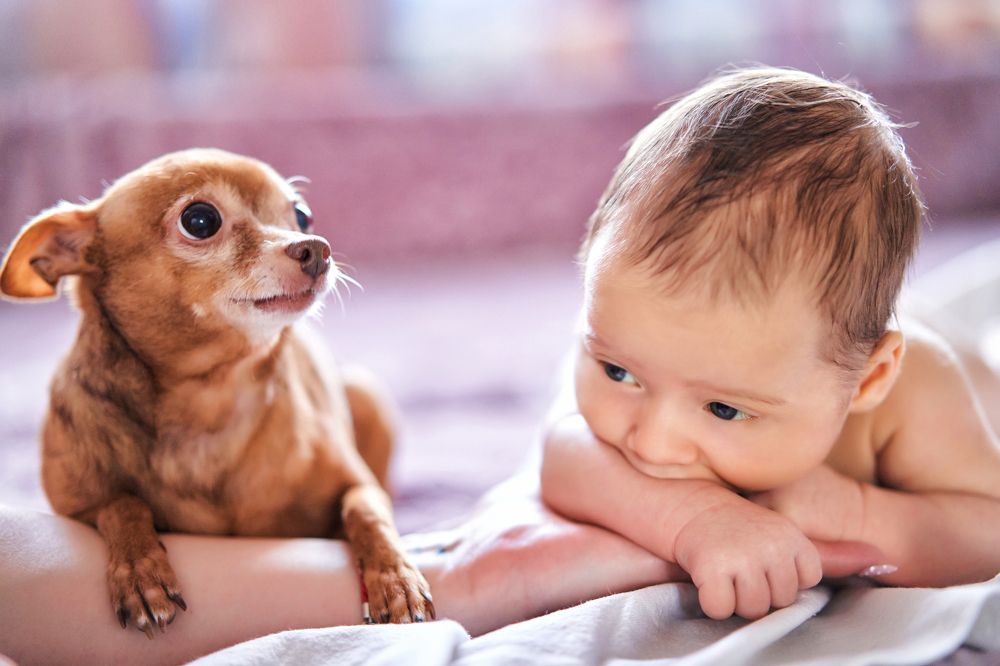 Photograph by Ростислав Непомнящий