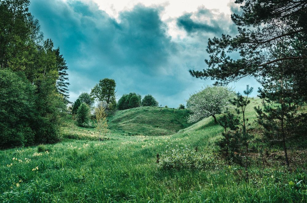 Photograph by Anzela Spiridonova