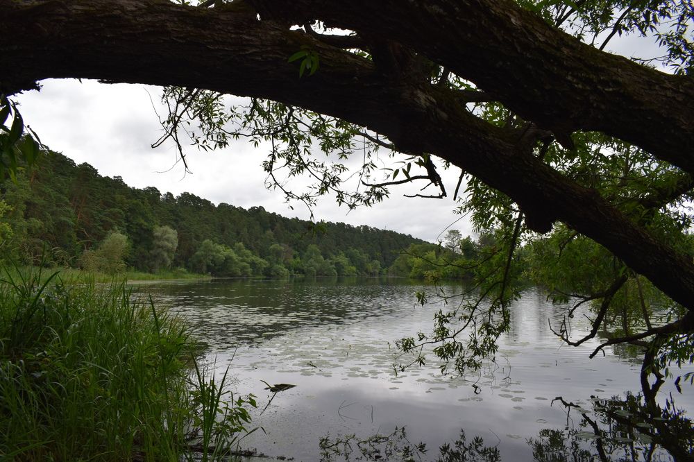 Photograph by Людмила Аненкова