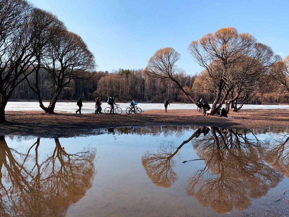 Photograph by Светлана