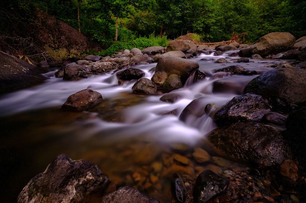 Photograph by Александр Максимов