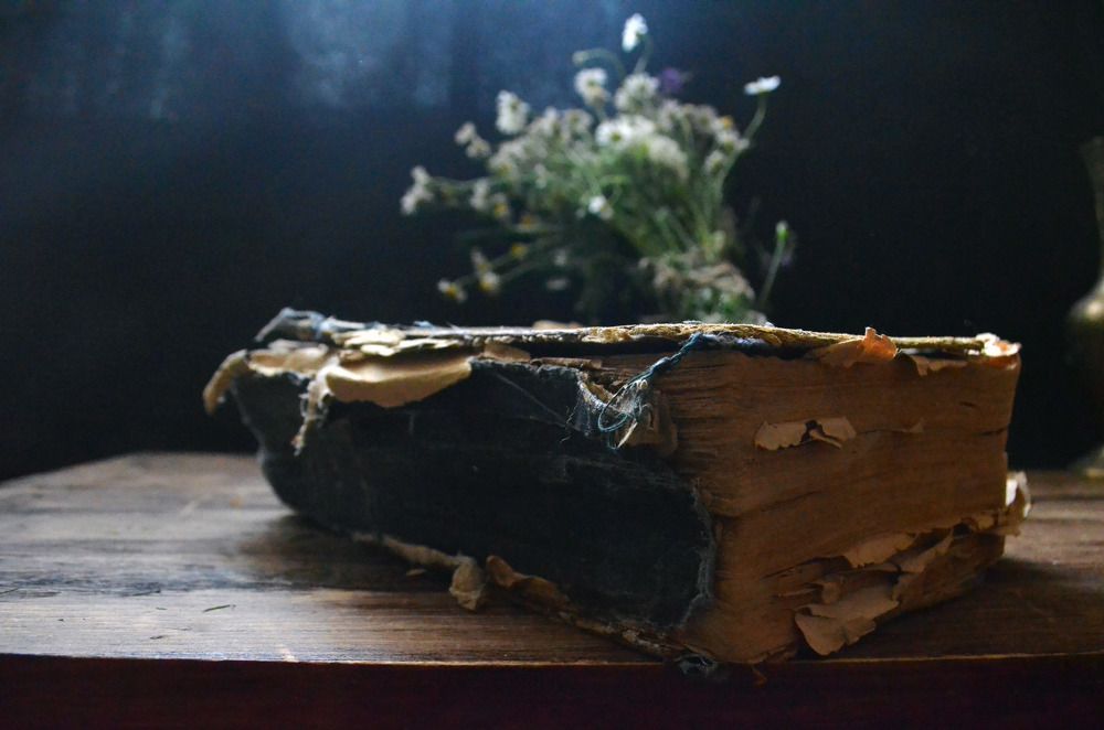 Фотография автора Ирина Курмалеева