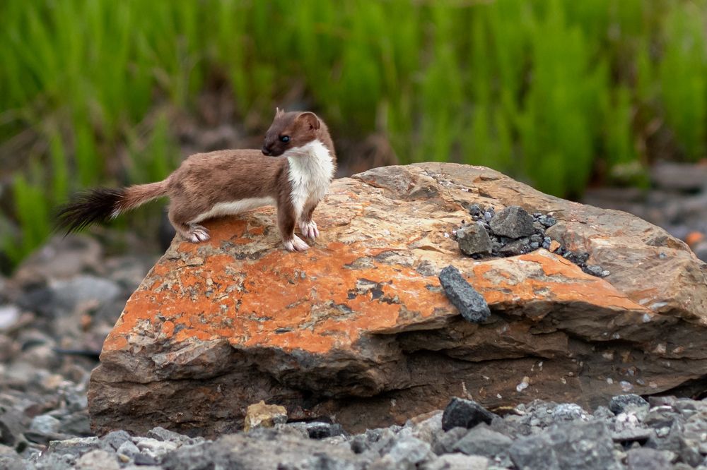 Photograph by Ирина Ульянова