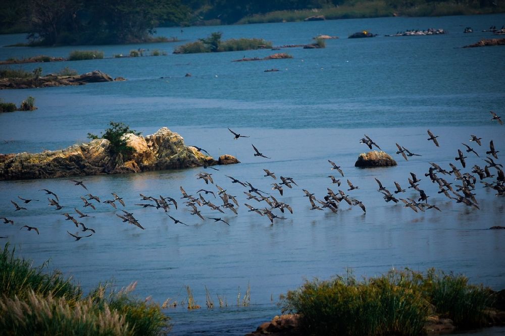 Kaveri the heavens celestial  River