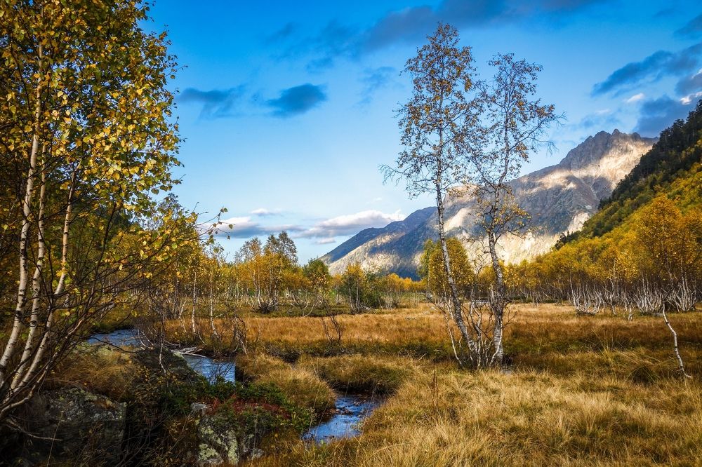 Photograph by Владимир Ганюшкин