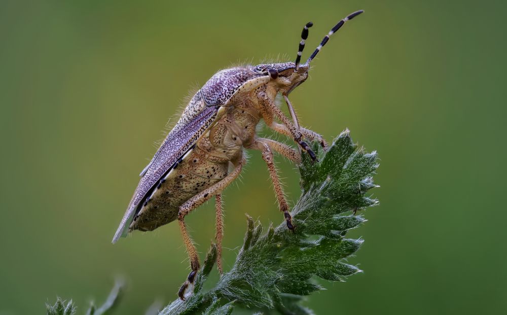 Photograph by Андрей Зимин