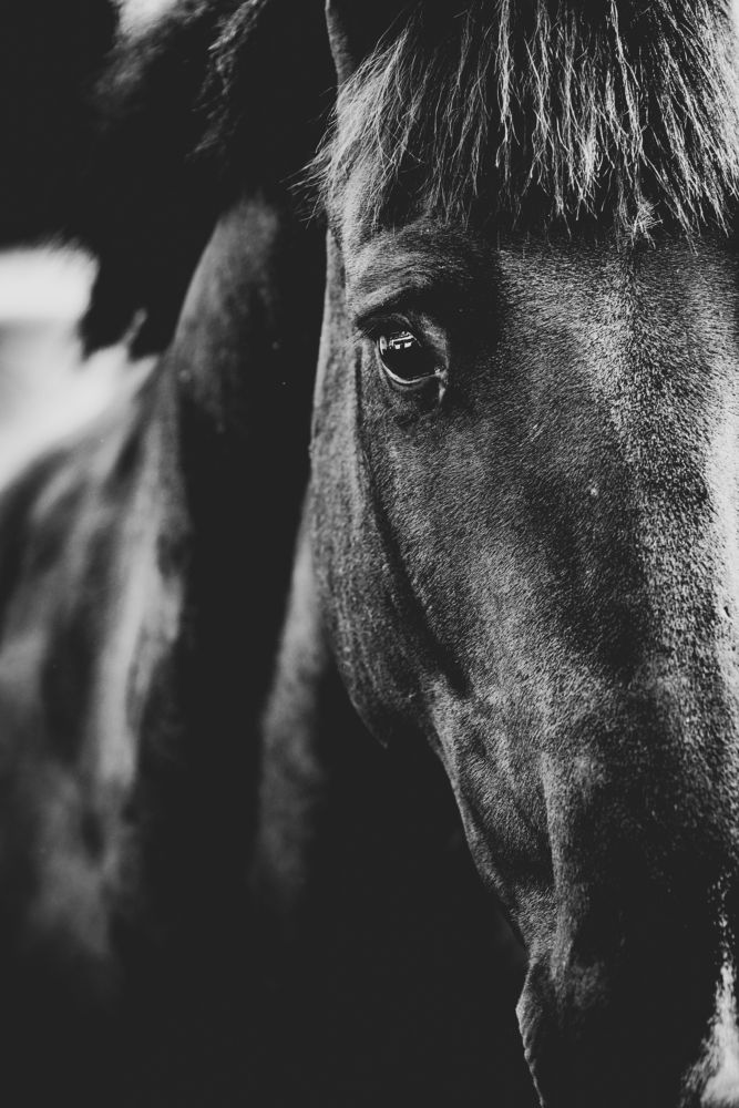 Photograph by Giacomo Giannelli