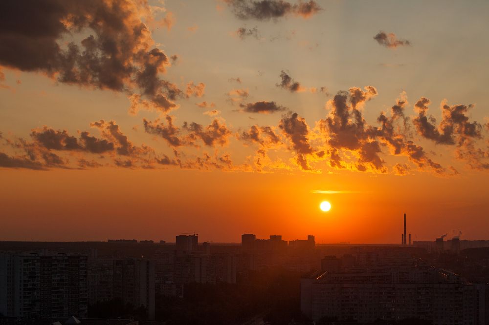 Фотография автора Мария Веселова