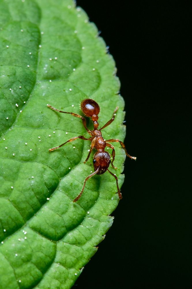 Photograph by Сергей Биденко