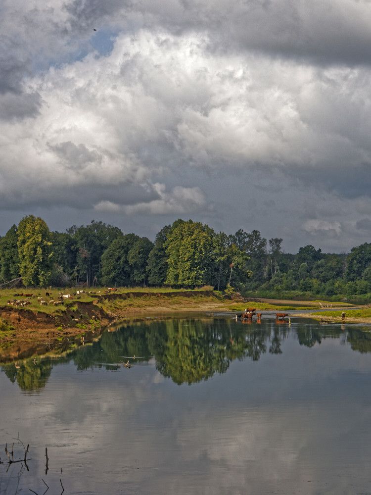 Photograph by Алексей Львов