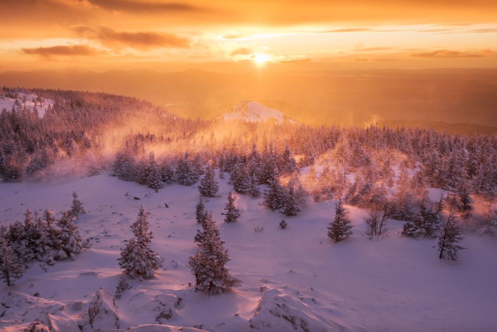 Фотография автора Алексей Проняхин