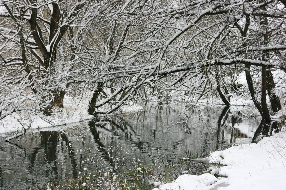 Photograph by Вадим Беляев