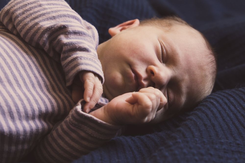 Фотография автора Мария Веселова