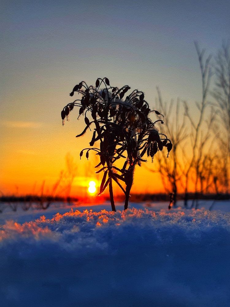 Фотография автора Савченко Наталия