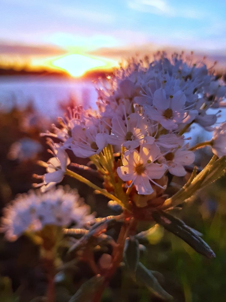Фотография автора Савченко Наталия