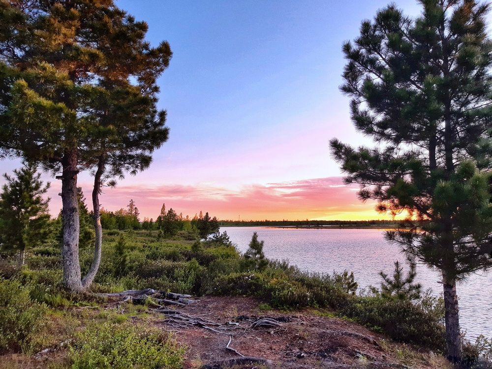 Фотография автора Савченко Наталия