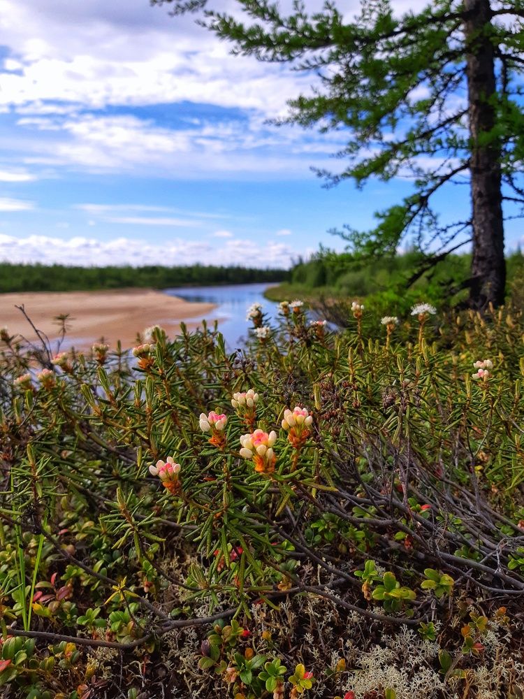 Фотография автора Савченко Наталия