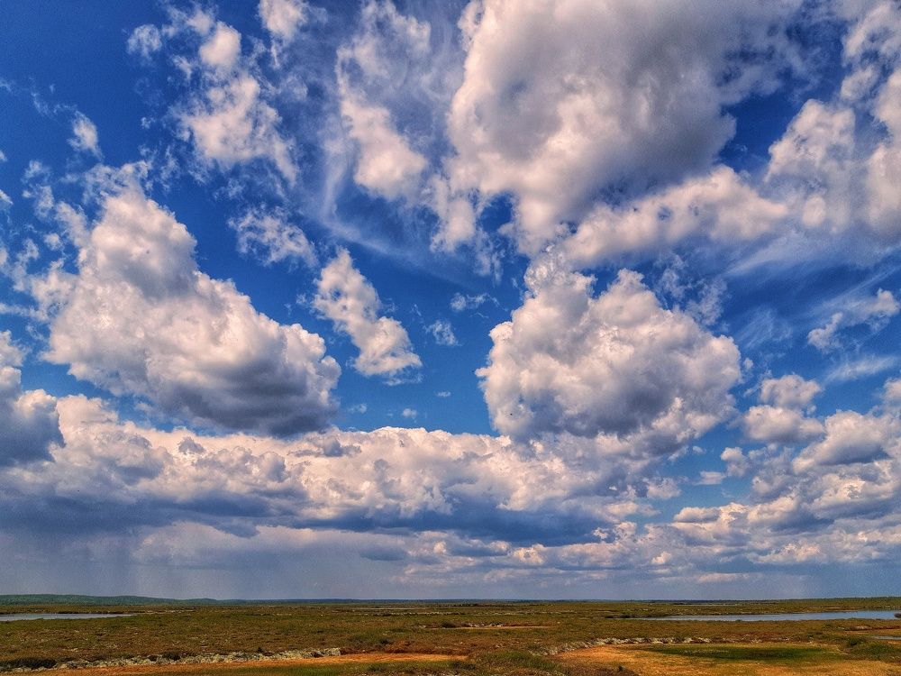 Фотография автора Савченко Наталия