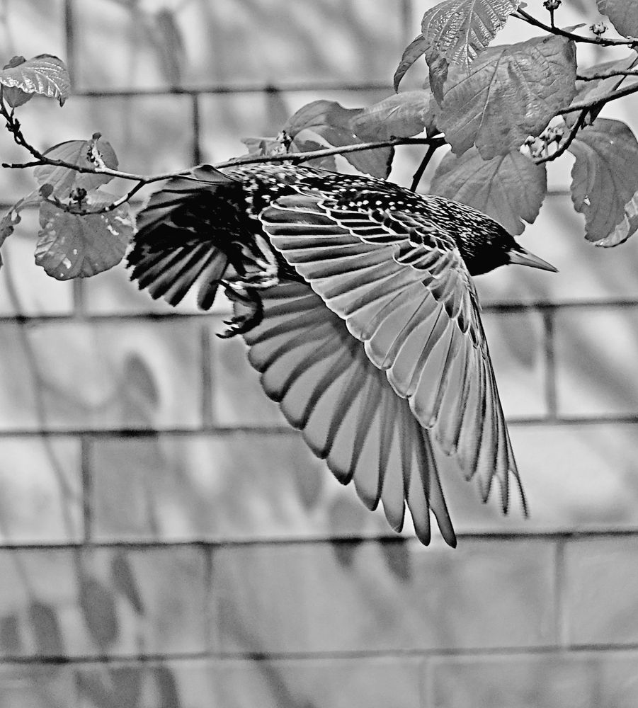 Photograph by Norayr Khazhakyan