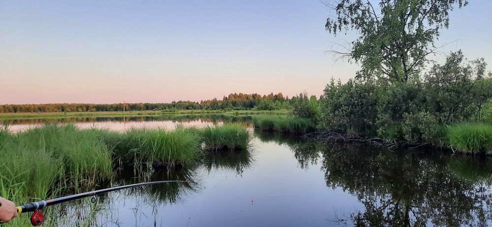 Photograph by Анна Ершова