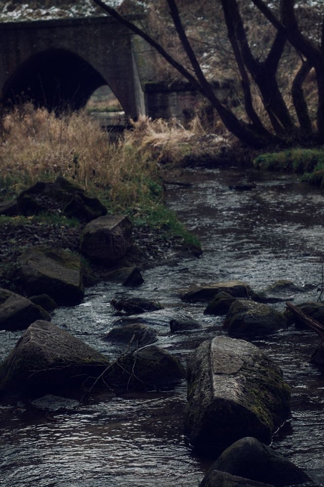 Photograph by Юлия Марфонова