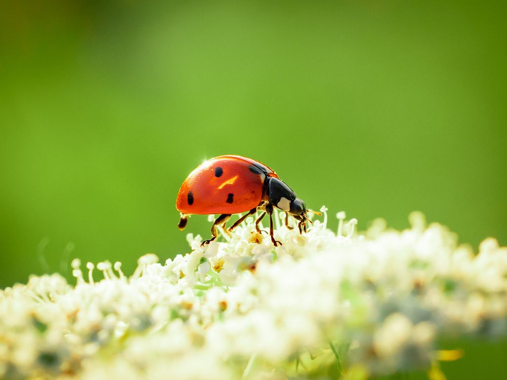 Photograph by Sergey