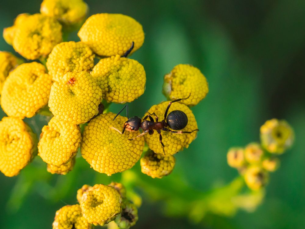 Photograph by Sergey