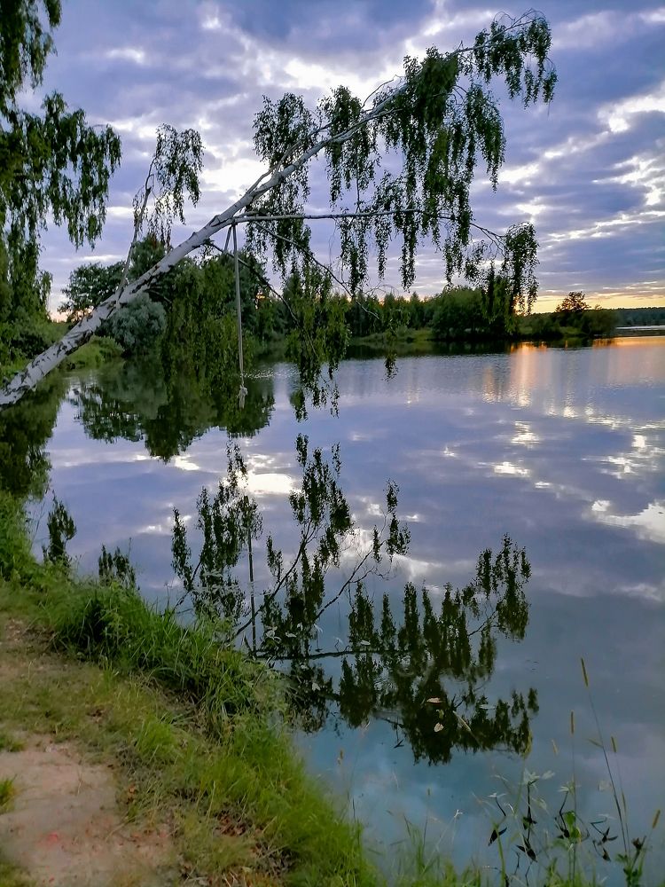 Фотография автора Елена Савельева