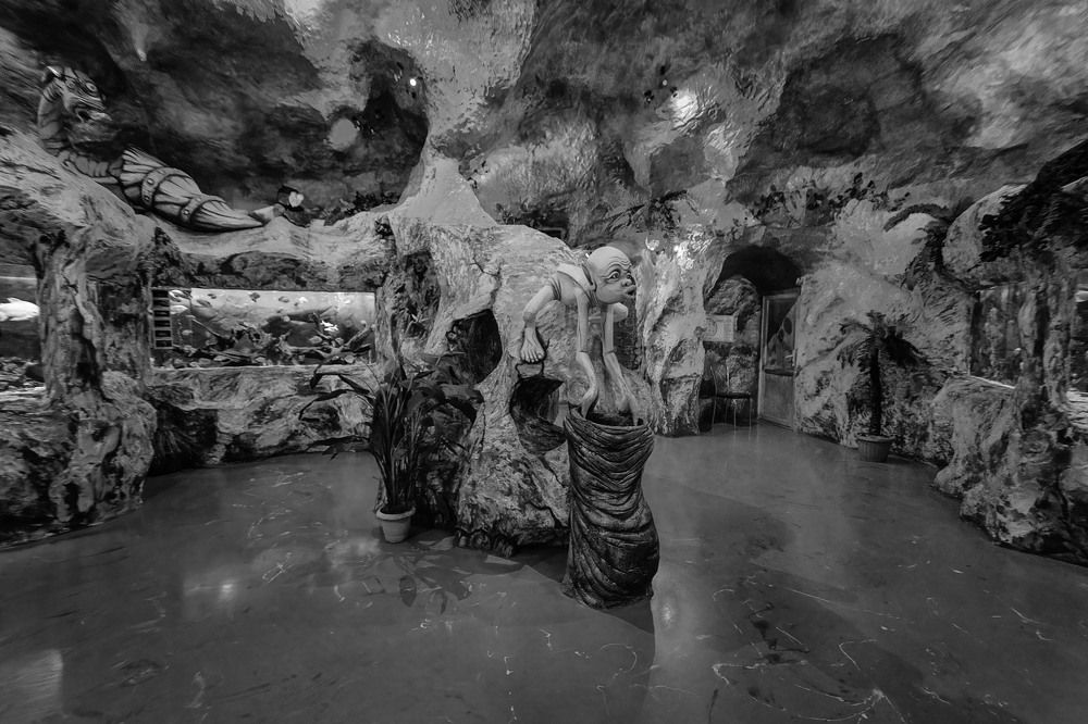 Photograph by Владимир Гамаюнов