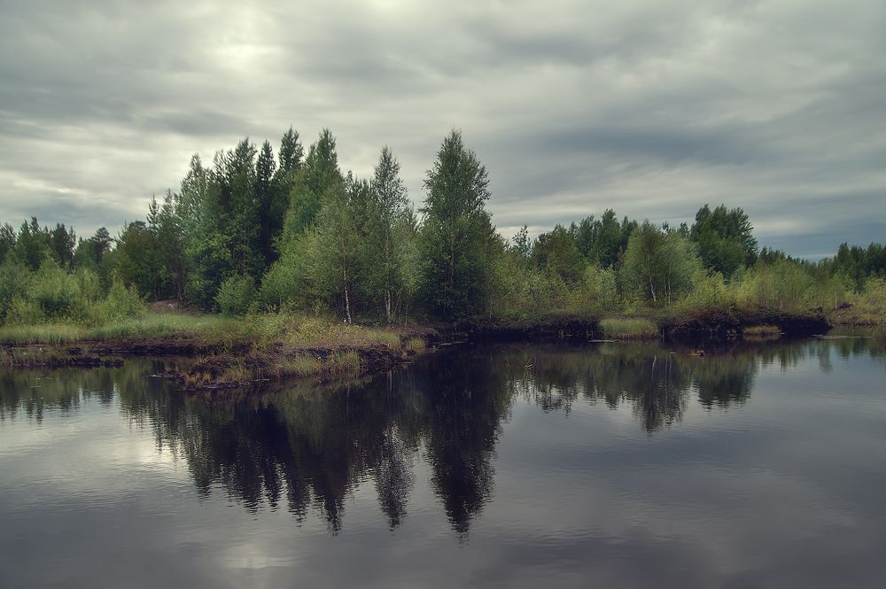 Фотография автора Виктория Шаманова