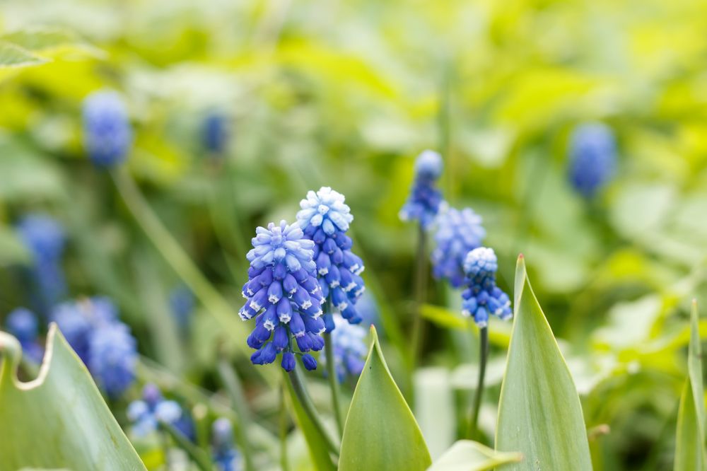 Photograph by Елена Кириллова