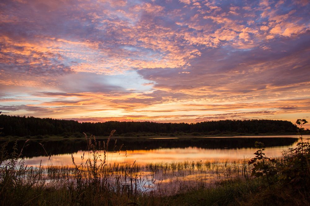 Photograph by Анна Кесарева
