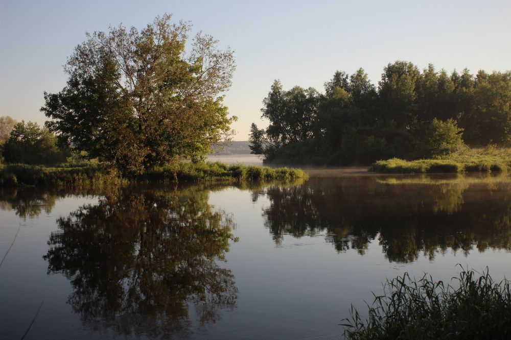 Photograph by Светлана Богомолова