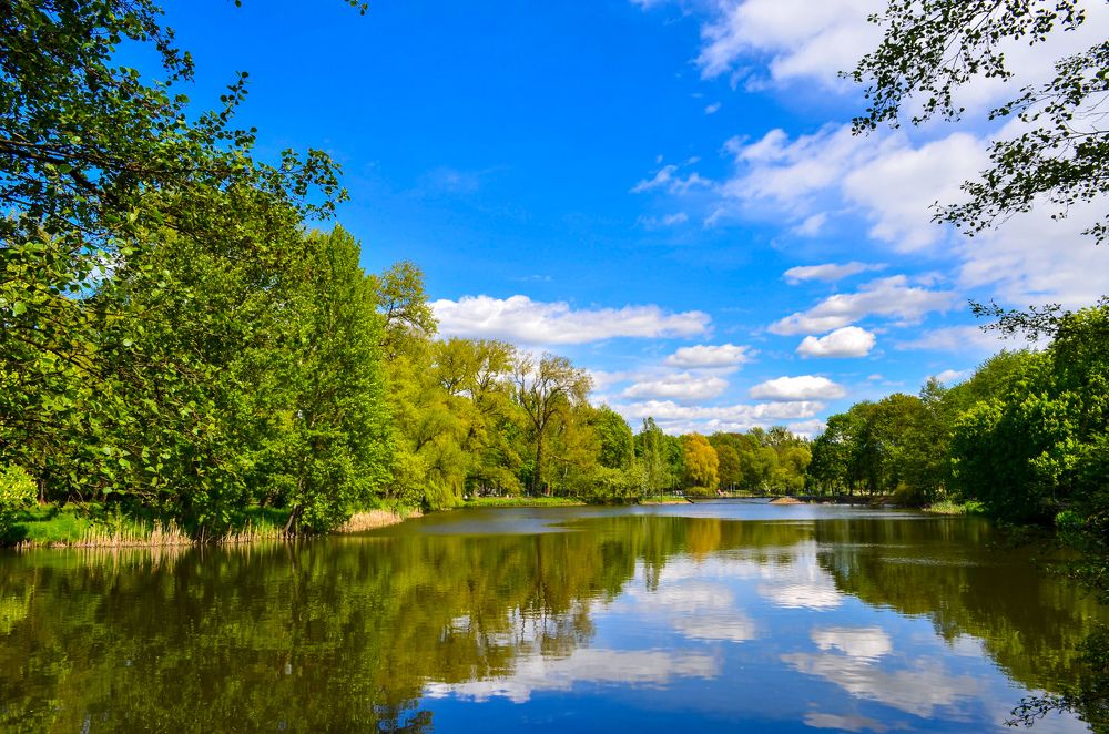 Photograph by Дмитрий Батейкин