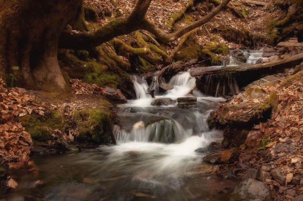 Photograph by Константин Усов