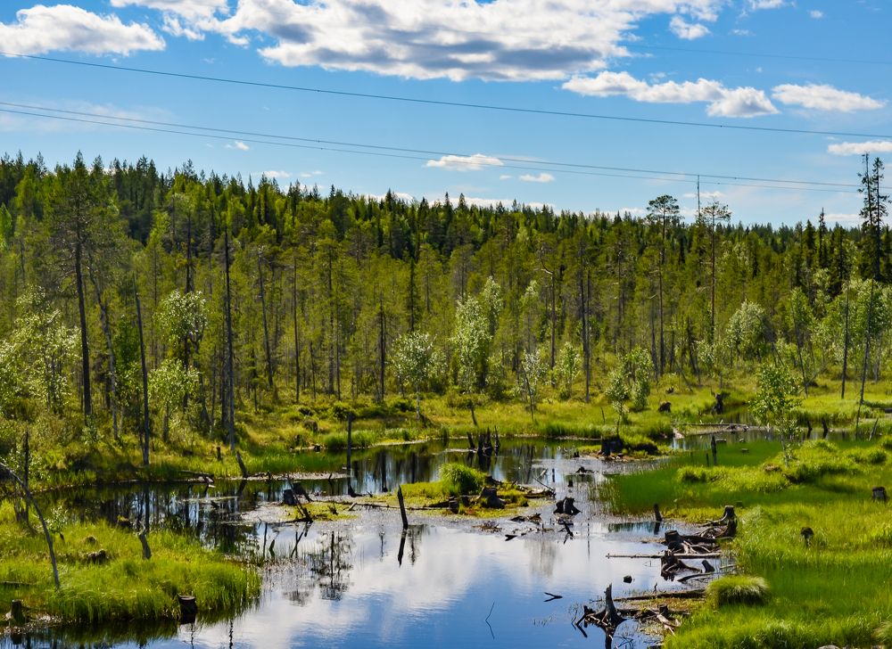 Photograph by Ирина Бандалет