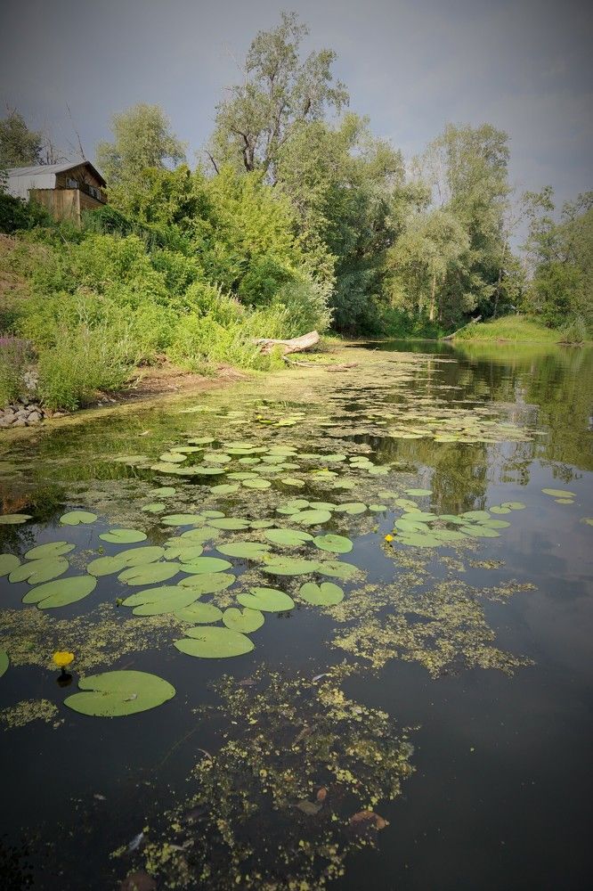 Перед грозой.