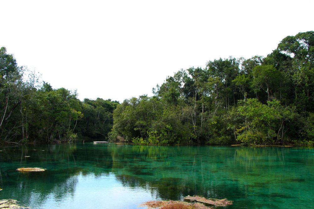 Photograph by Tatiana Barthem