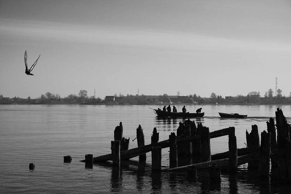 Photograph by Николай Велицкий