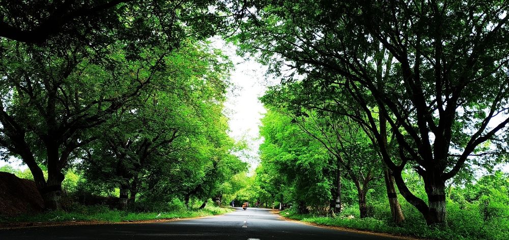 Photograph by pappuraj