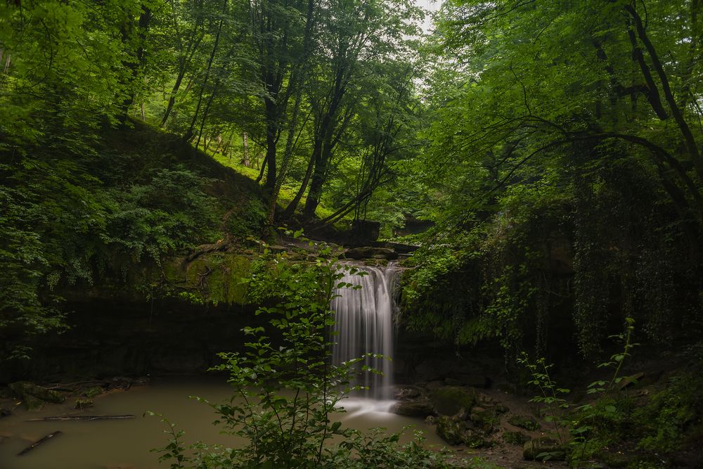 Фотография автора Milad Falahi