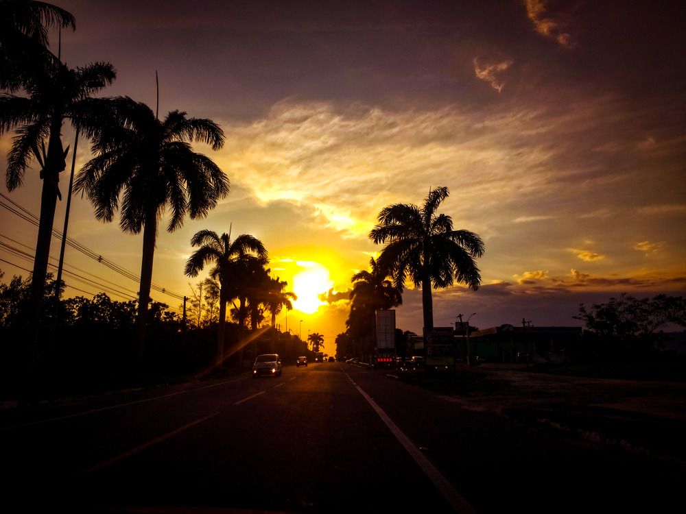 Photograph by Tatiana Barthem