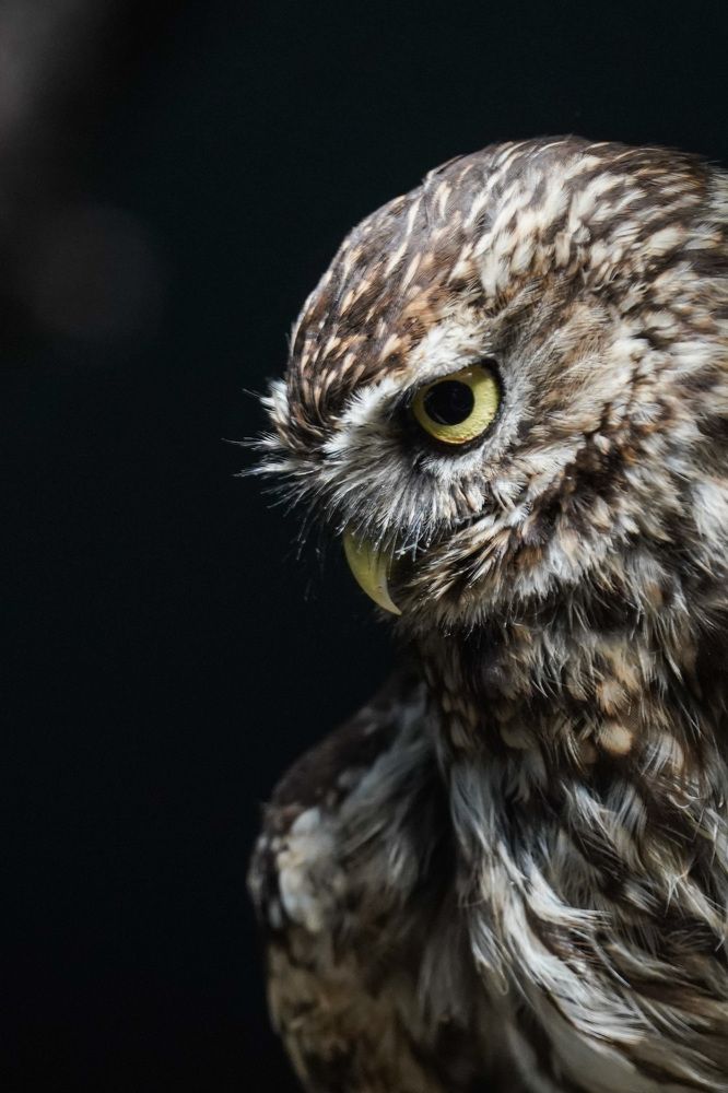 Фотография автора Jian Ma